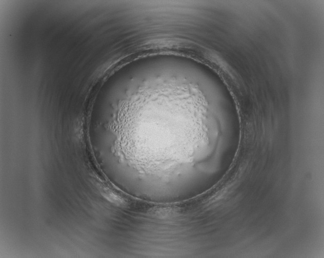 X0000071940778200607141432