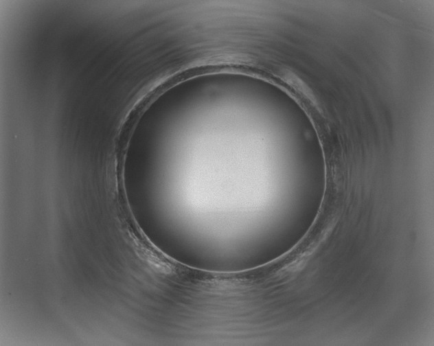 X0000071940781200607141432
