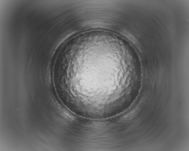 X0000071940782200607141432