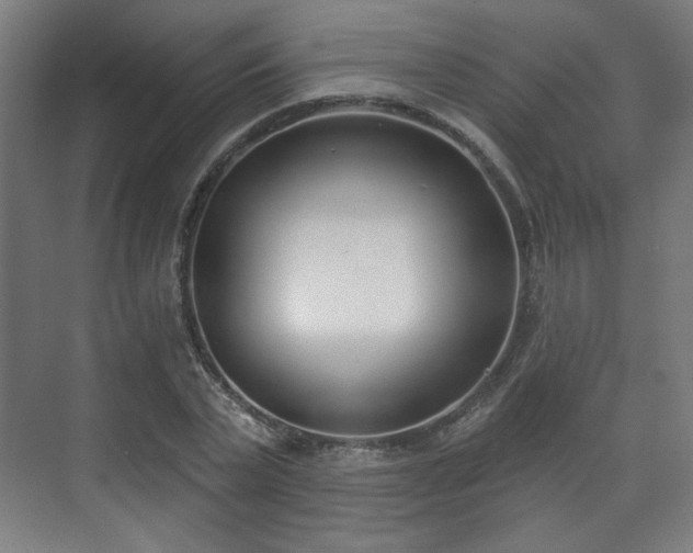 X0000071940783200607141432