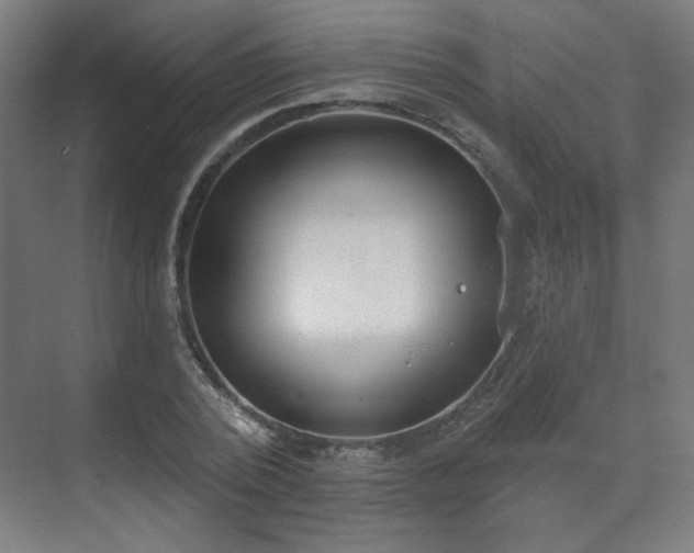 X0000071940784200607141432