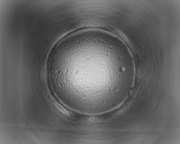 X0000071940787200607141432