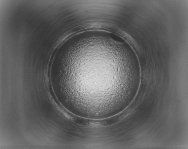 X0000071940794200607141432