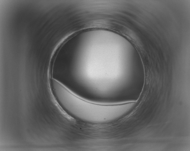 X0000071940796200607141432