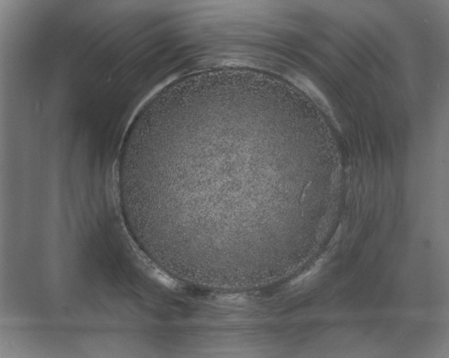 X0000071940798200607141431