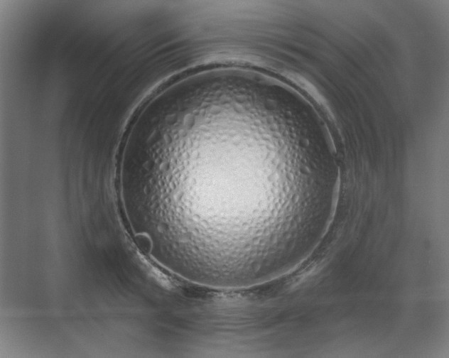 X0000071940799200607141431