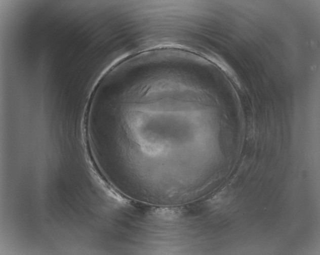 X0000071940806200607141431