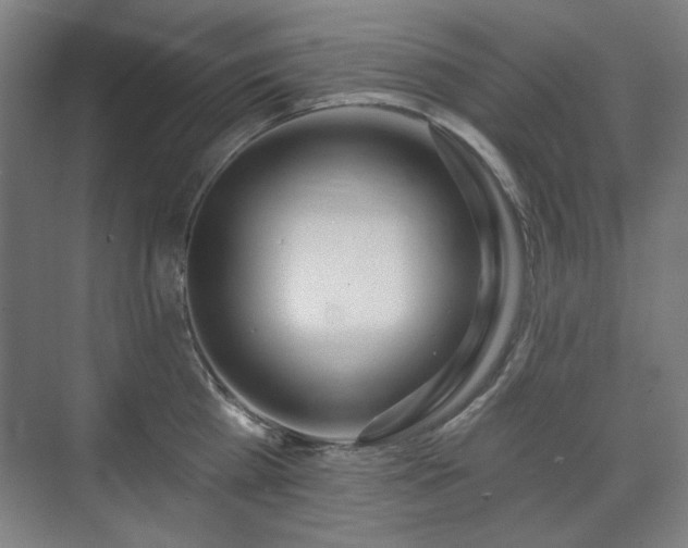 X0000071940809200607141431