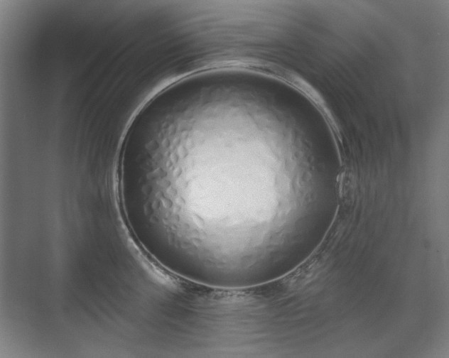 X0000071940811200607141431