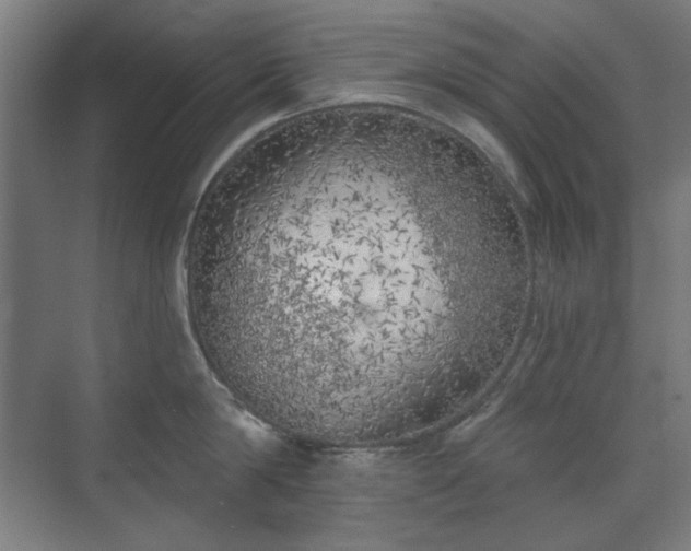 X0000071940814200607141431