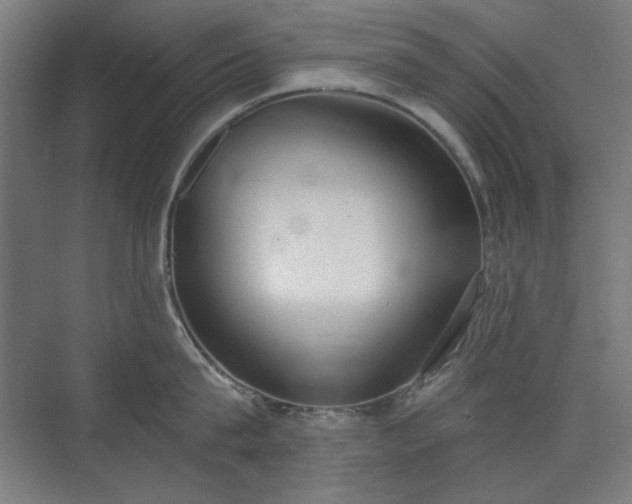 X0000071940815200607141431