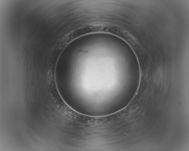 X0000071940821200607141430