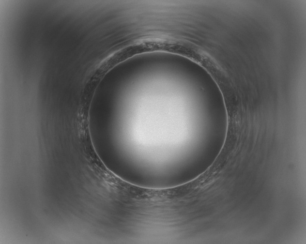 X0000071940822200607141430