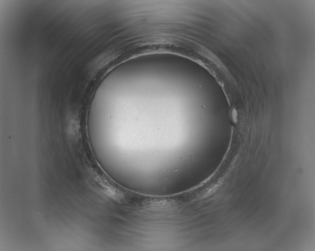 X0000071940826200607141431