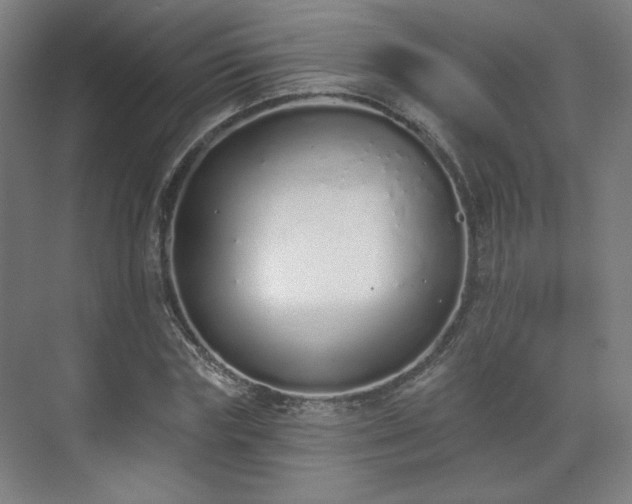 X0000071940827200607141431