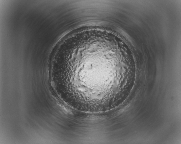 X0000071940829200607141431