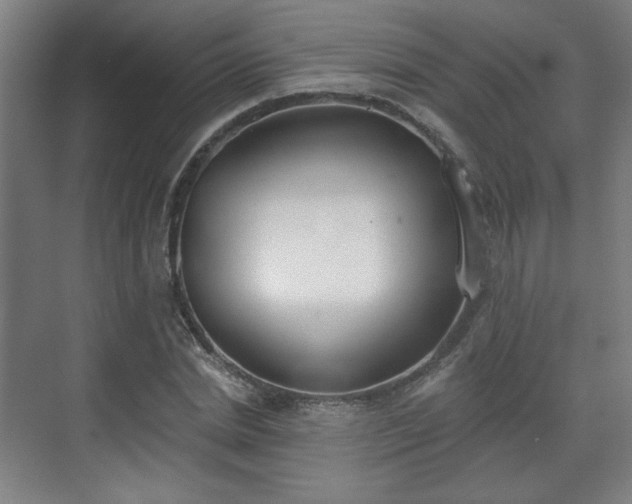 X0000071940830200607141431