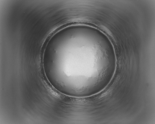 X0000071940831200607141431