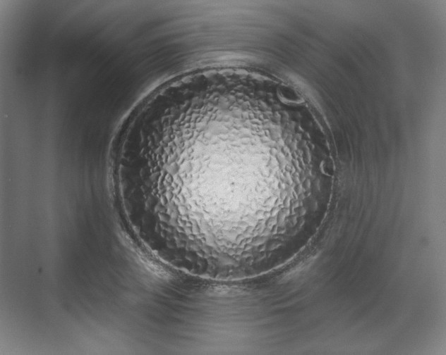 X0000071940835200607141431