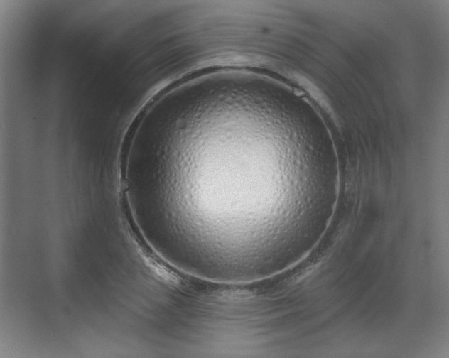 X0000071940837200607141431