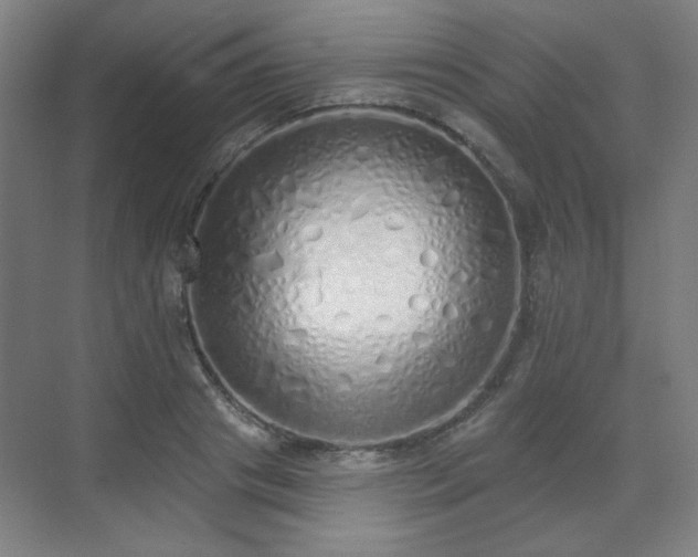 X0000071940841200607141431
