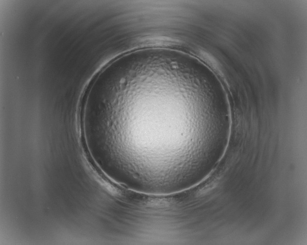 X0000071940843200607141431