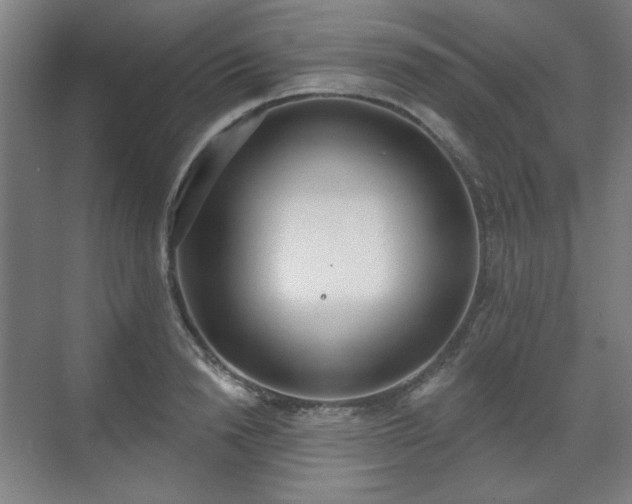 X0000071940846200607141431