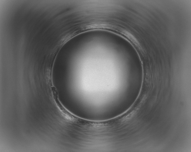 X0000071940849200607141431