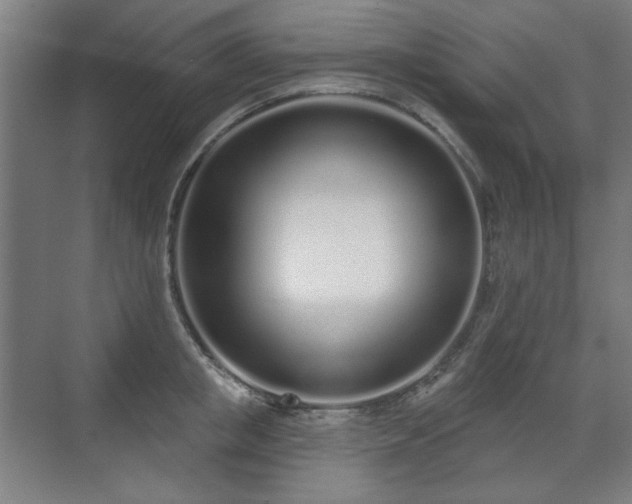 X0000071940853200607141431