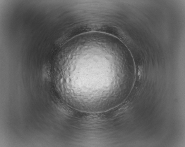 X0000071940867200607141430