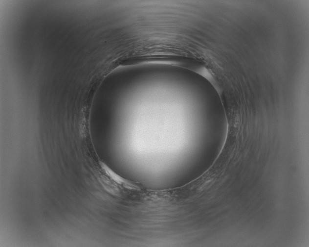 X0000071940868200607141430