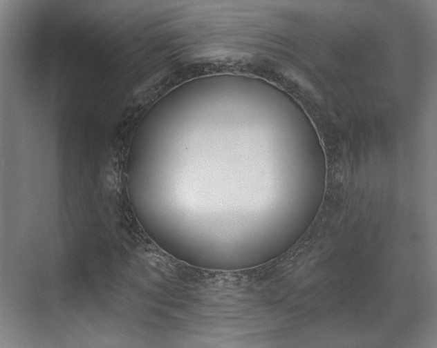 X0000071940869200607141430