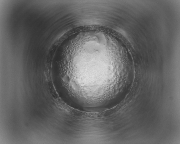 X0000071940871200607141430