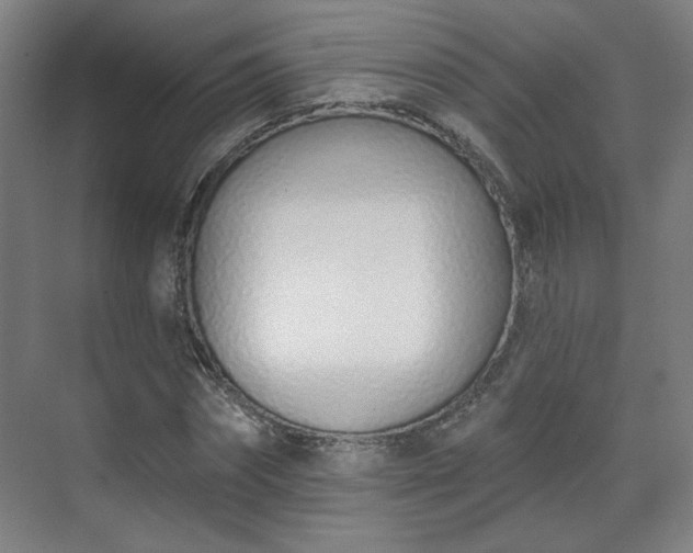 X0000071940874200607141430