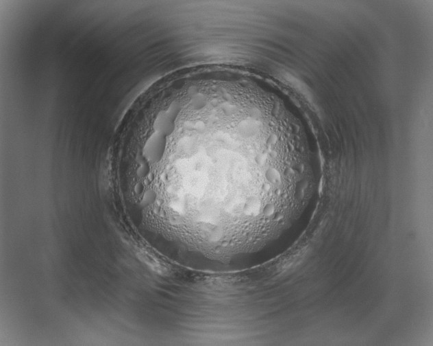 X0000071940875200607141430