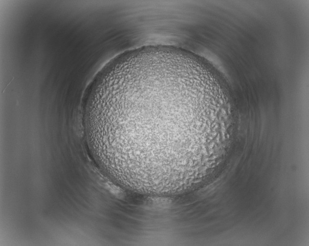 X0000071940878200607141430