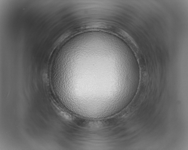 X0000071940882200607141430