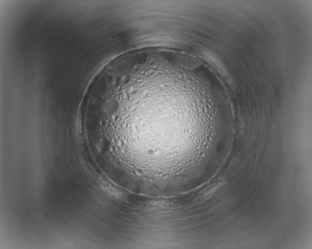 X0000071940883200607141430