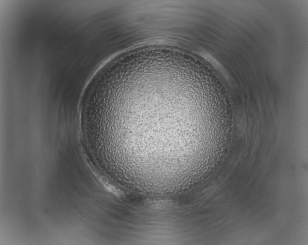 X0000071940886200607141430