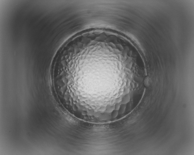 X0000071940887200607141430