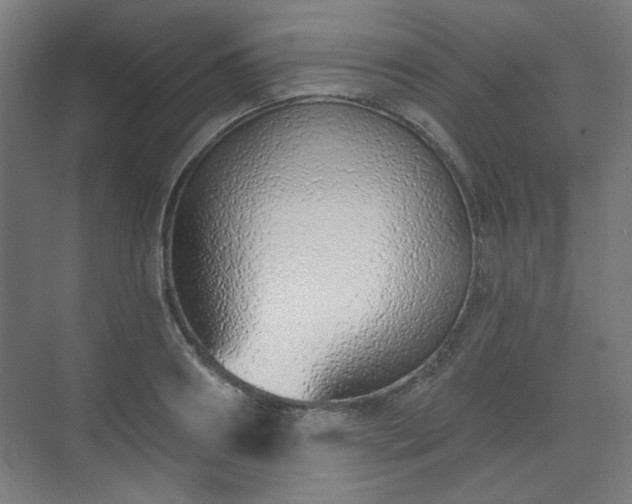 X0000071940890200607141430