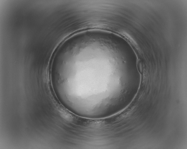 X0000071940891200607141430