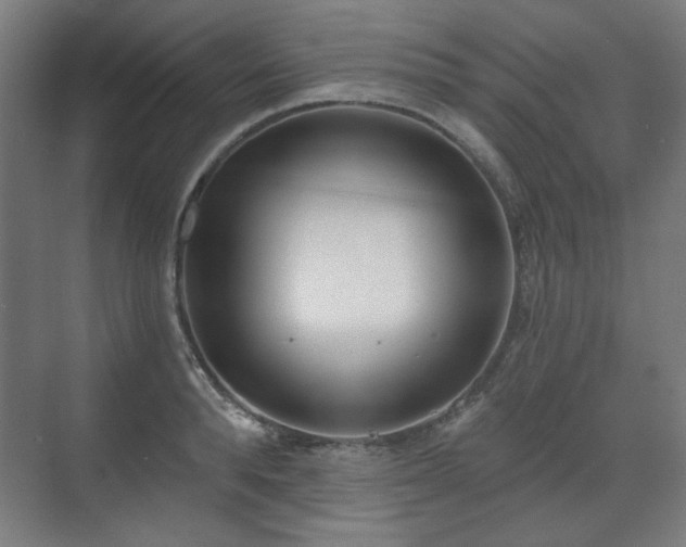X0000071940896200607141430