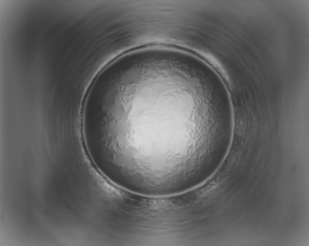 X0000071940903200607141430