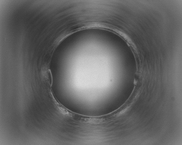 X0000071940905200607141430