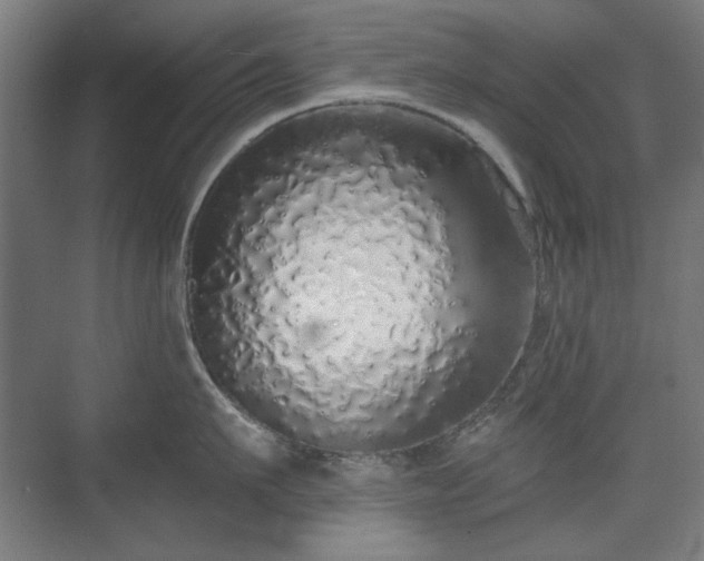 X0000071940911200607141430