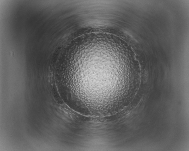 X0000071940917200607141429