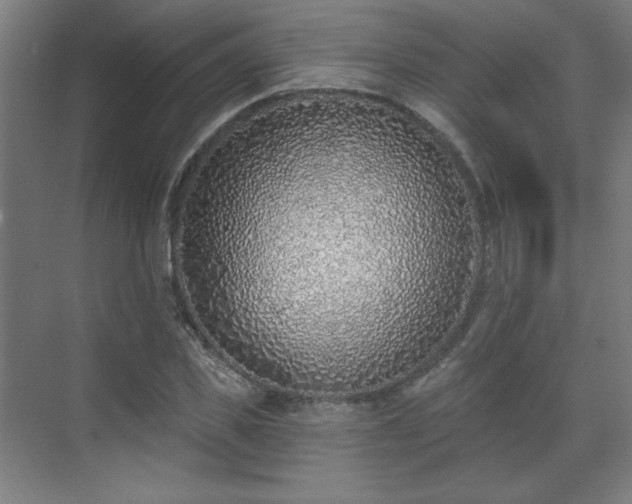 X0000071940925200607141429
