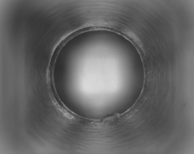 X0000071940928200607141429