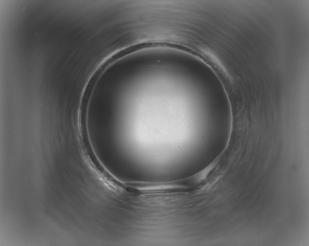 X0000071940932200607141429